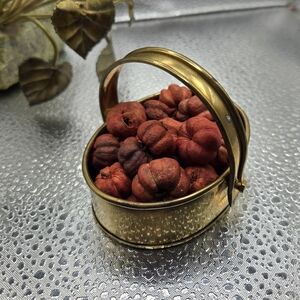 "5/$25" Mini Brass Bucket With Tiny Pumpkins